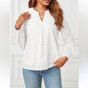 Women's Hollow Out Lace Blouse Eyelet
Embroidery Puff Long Sleeve V Neck new